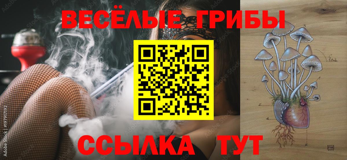Псилоцибиновые грибы мухоморы  Галлюциногенные грибы Cubensis  Кизляр  Вход с VPN 