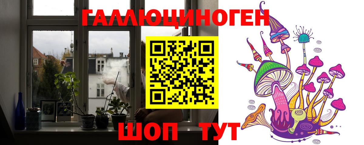 Псилоцибиновые грибы Psilocybine cubensis Кизляр